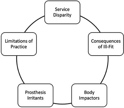 Issues Faced by Prosthetists and Physiotherapists During Lower-Limb Prosthetic Rehabilitation: A Thematic Analysis